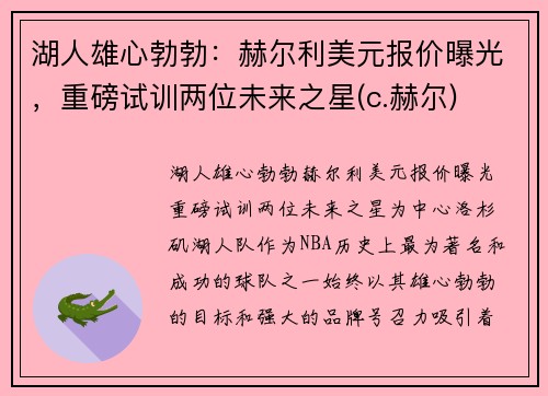 湖人雄心勃勃：赫尔利美元报价曝光，重磅试训两位未来之星(c.赫尔)