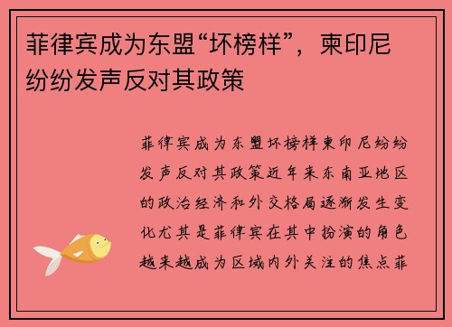 菲律宾成为东盟“坏榜样”，柬印尼纷纷发声反对其政策